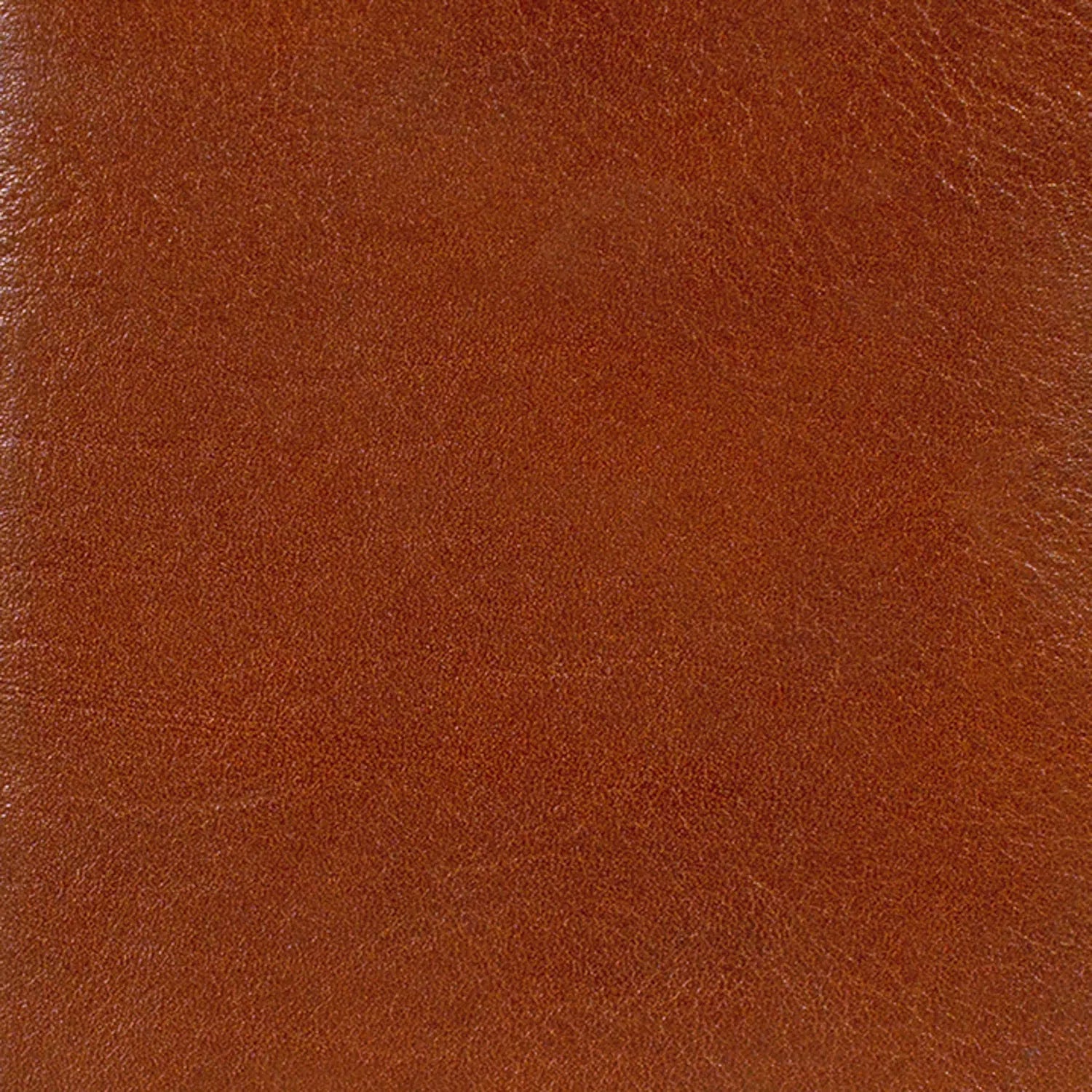 Keyfeature-1 COUNTRY Schlüsseletui Hook palisandro