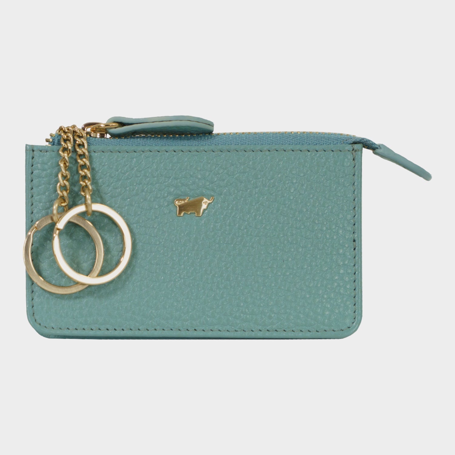 Frontansicht ASTI Schlüsseletui green mistle