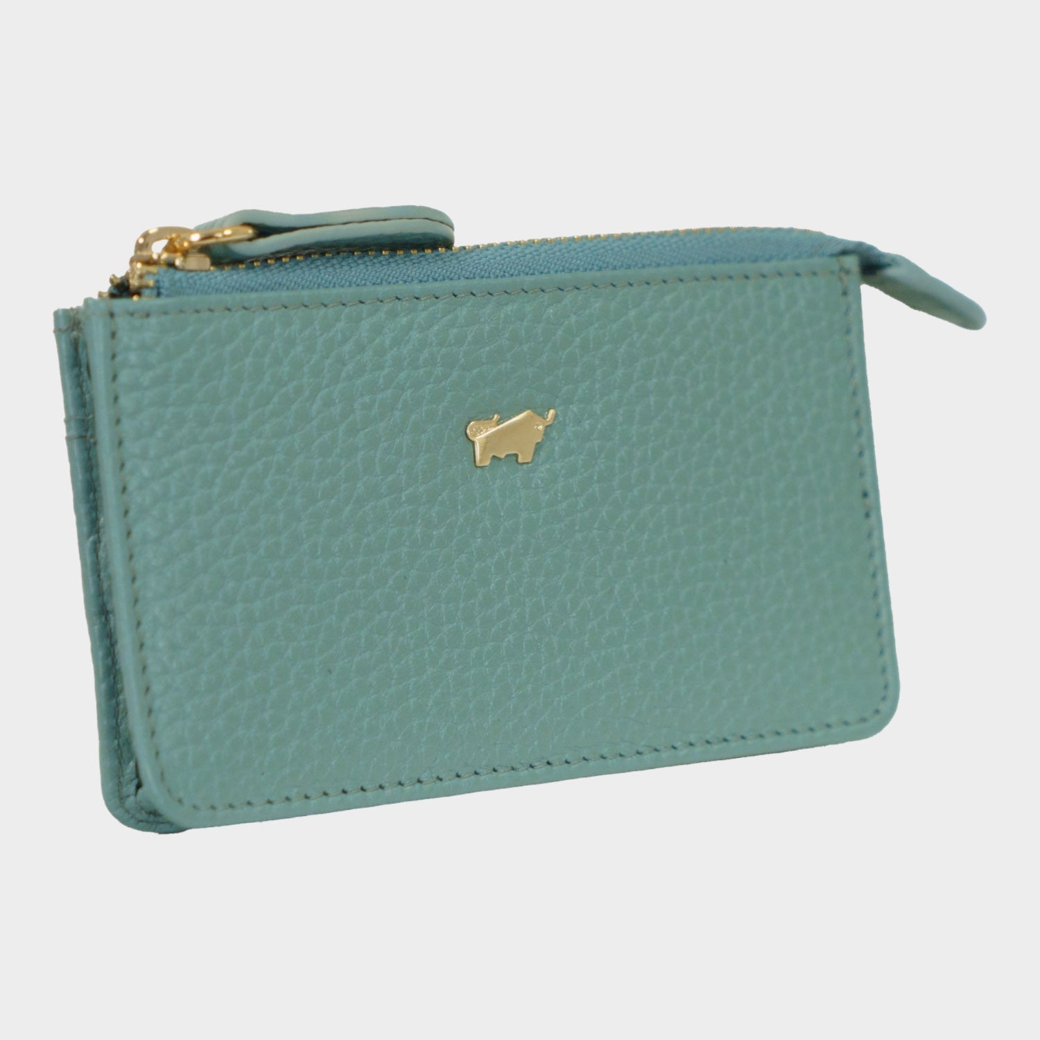 Schrägansicht ASTI Schlüsseletui green mistle