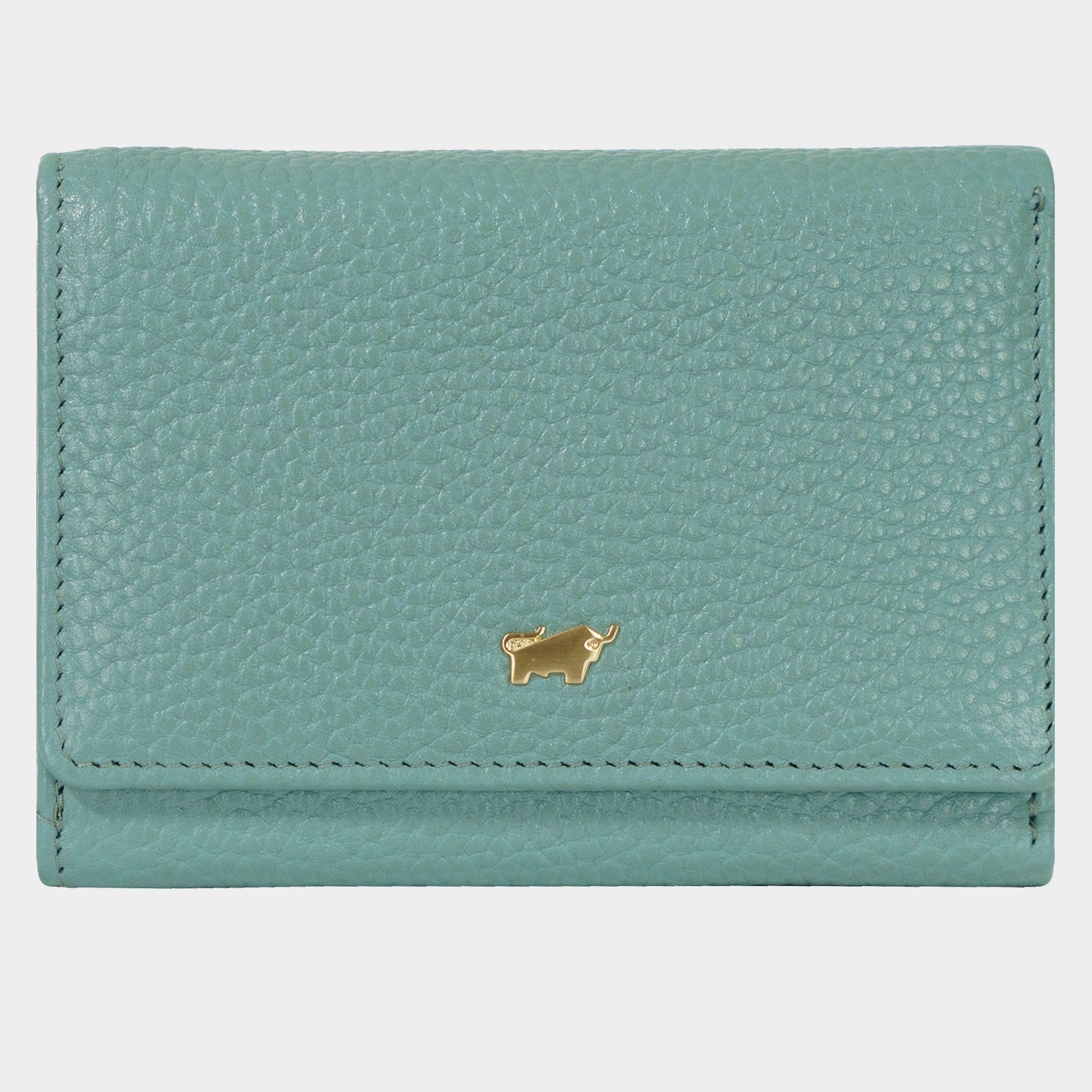 Frontansicht ASTI Geldbörse S 11CS green mistle