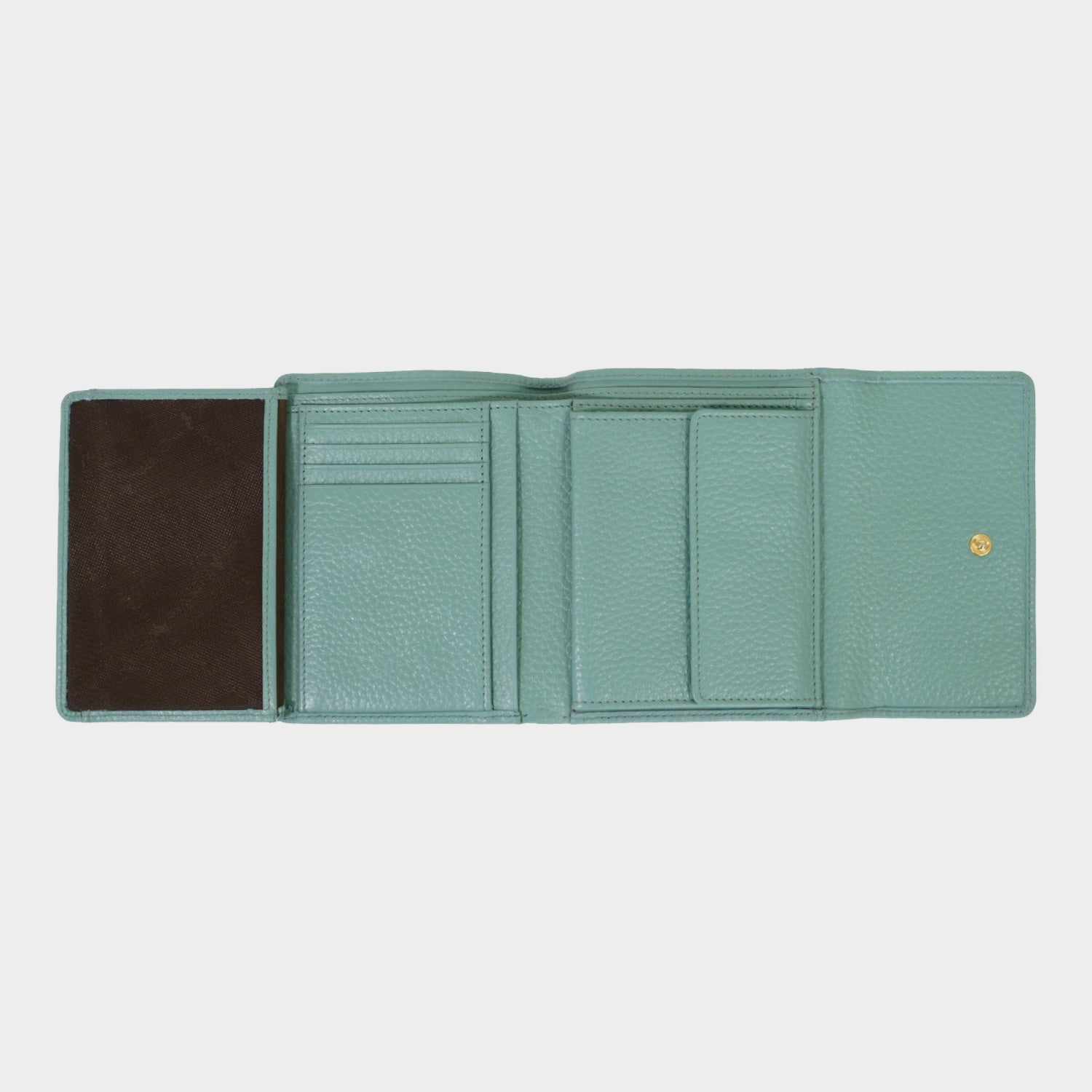 Innenansicht ASTI Geldbörse M 8CS green mistle