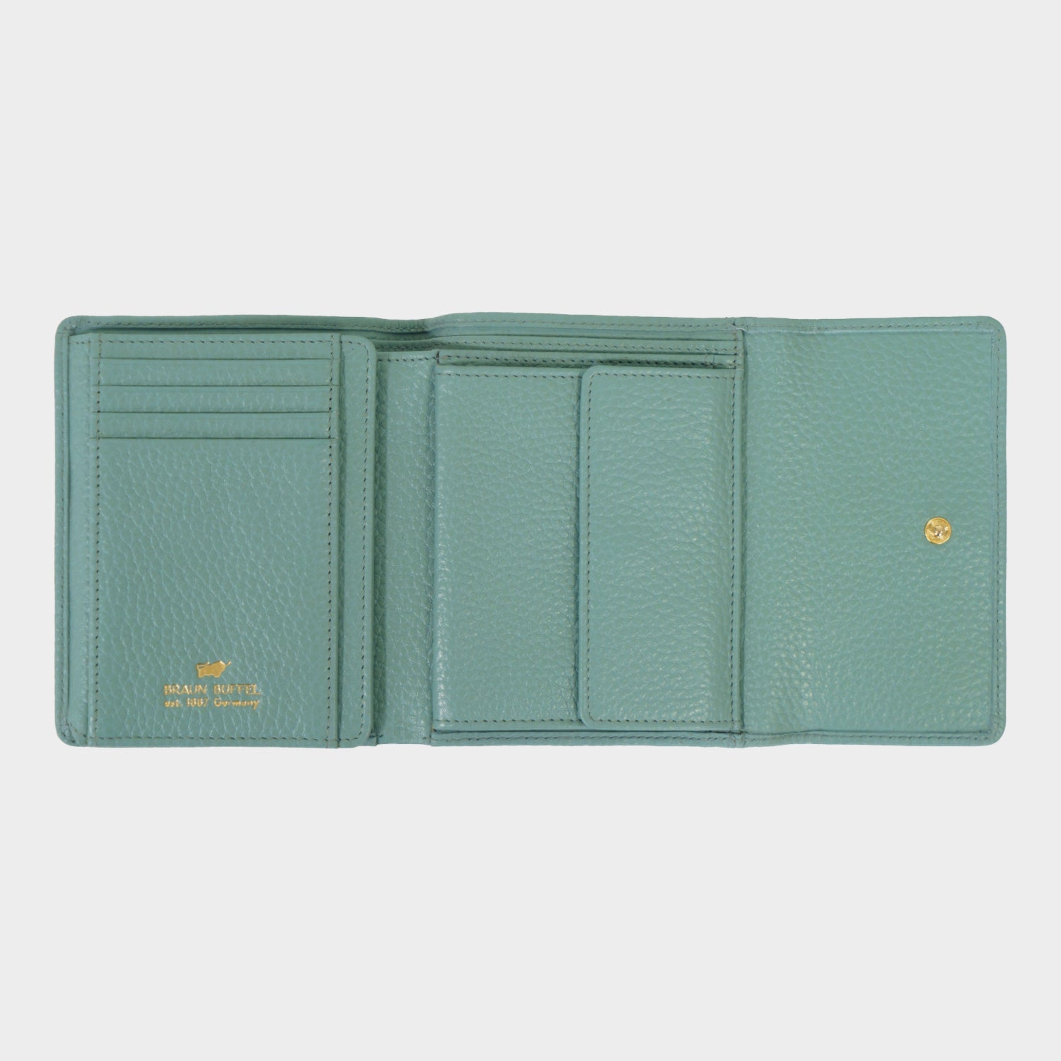 Innenansicht ASTI Geldbörse M 8CS green mistle
