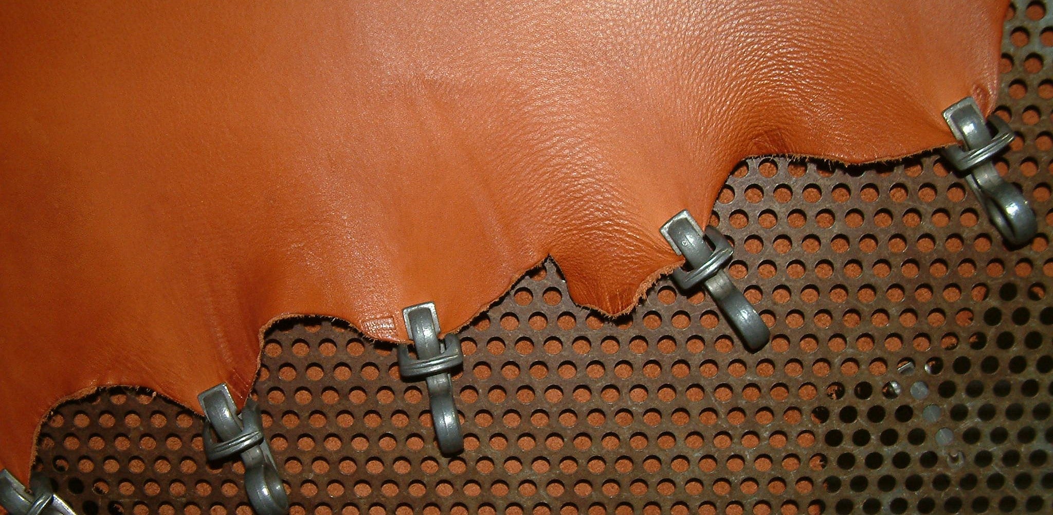 Lederfell aufgespannt mit Klammern