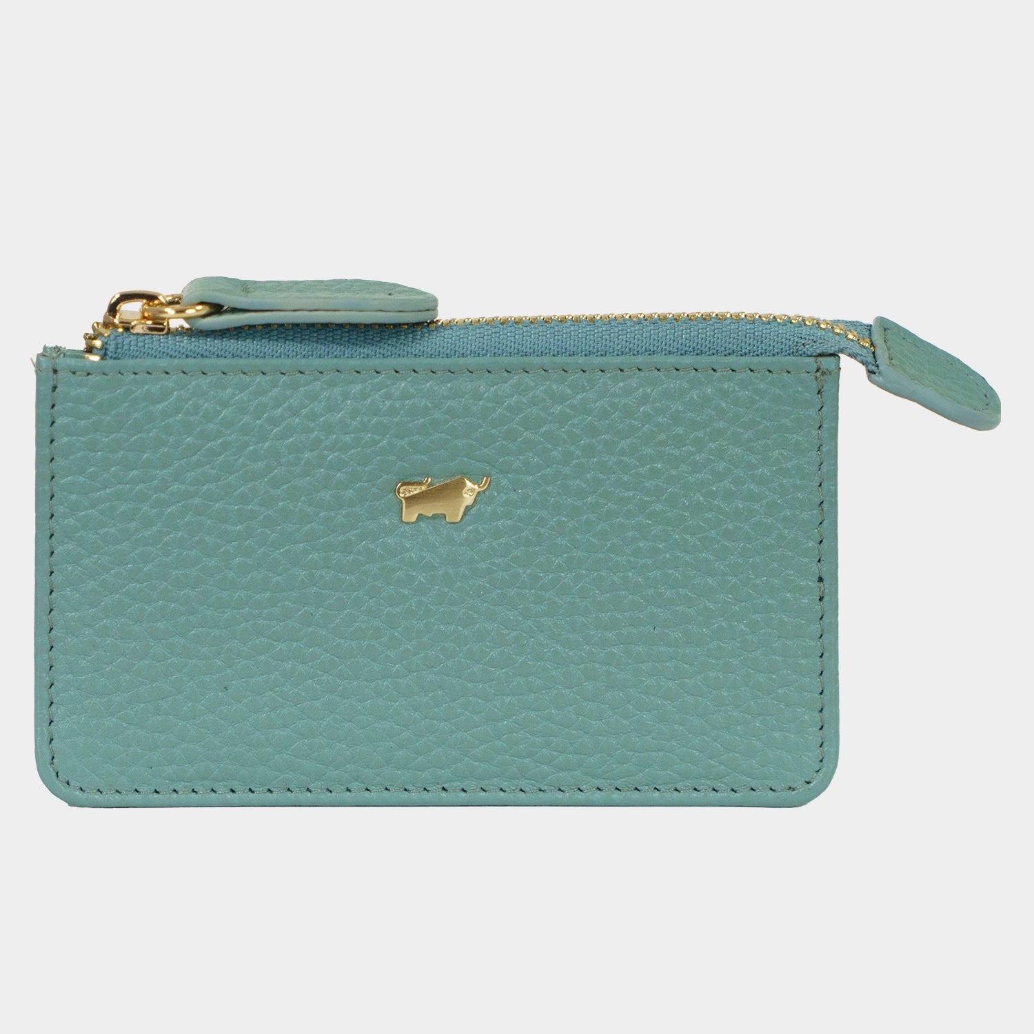 Frontansicht ASTI Schlüsseletui green mistle