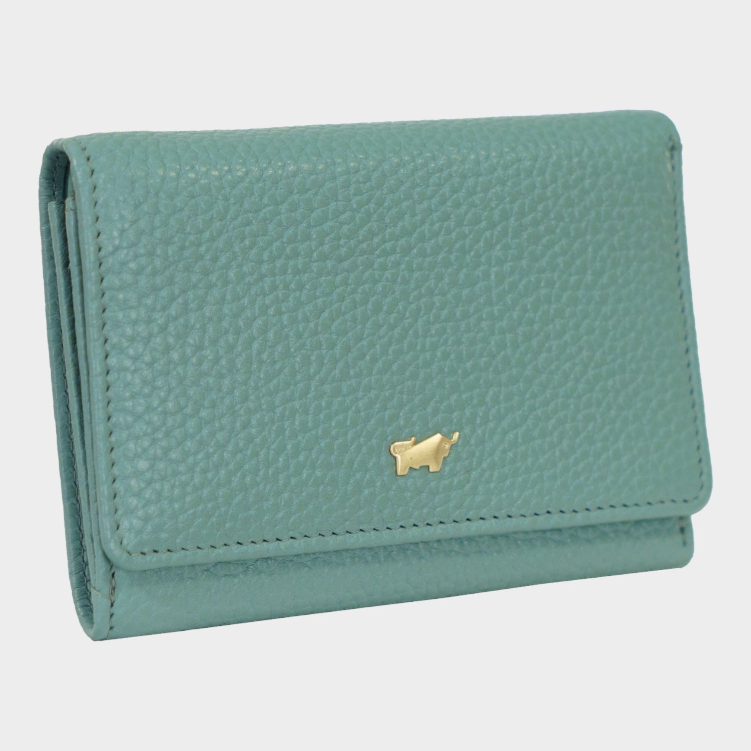 Schrägansicht ASTI Geldbörse S 11CS green mistle