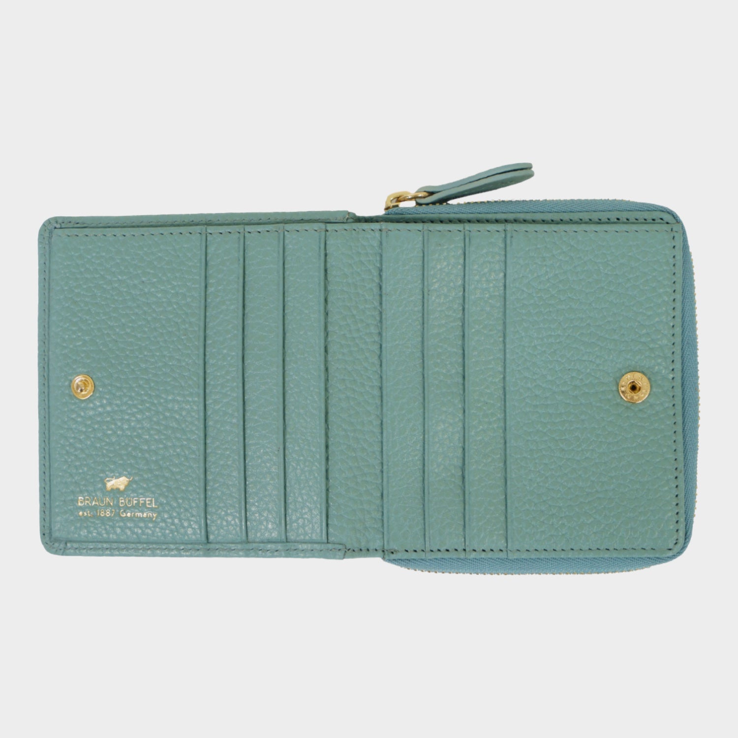 Innenansicht ASTI RV-Geldbörse S 6CS green mistle