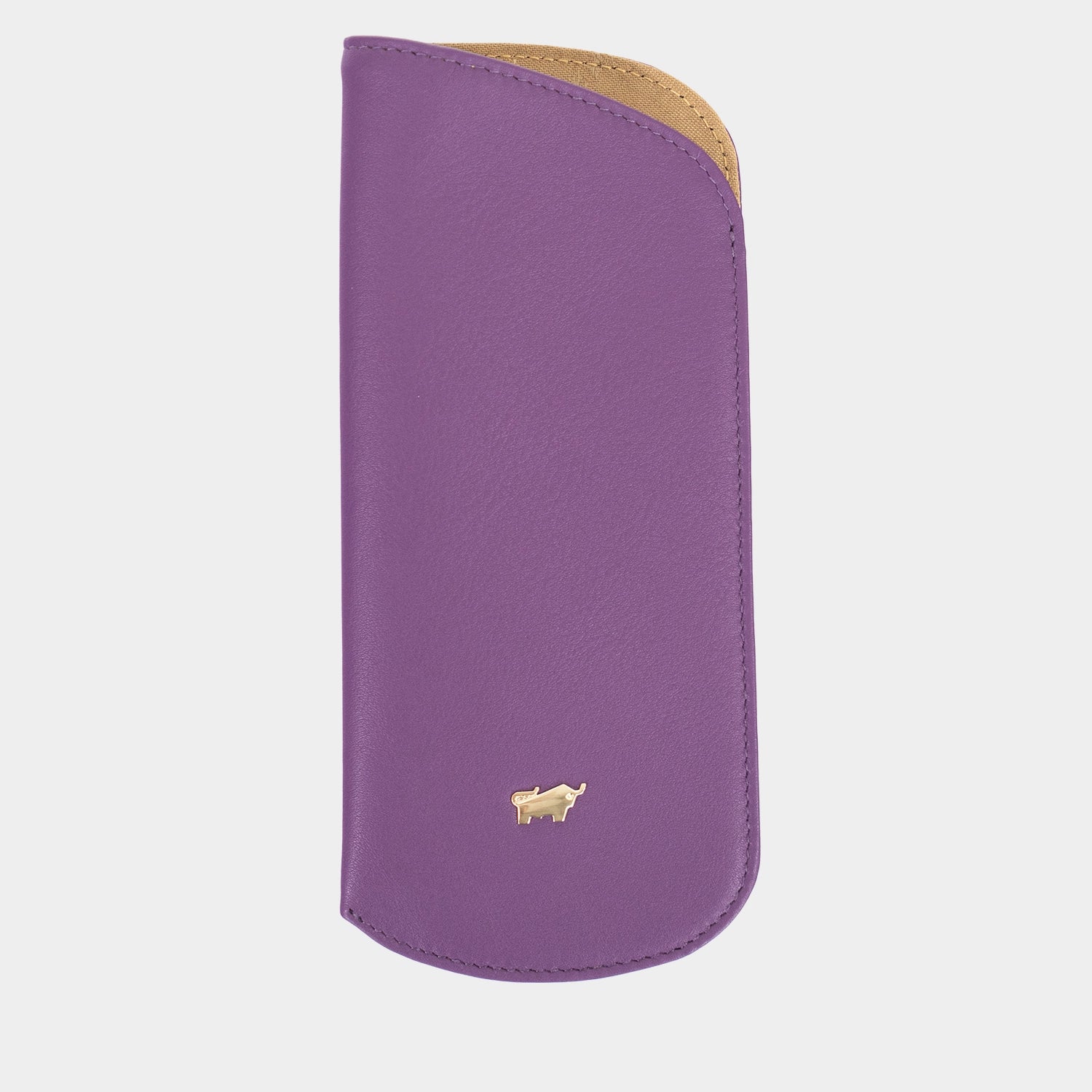 Brillenetui purple/viola